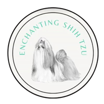 ENCHANTING SHIH TZU